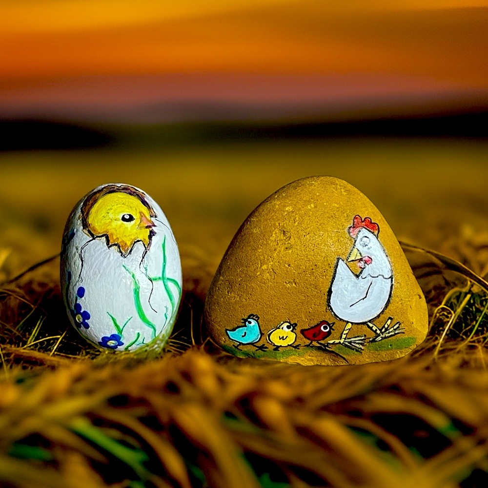 Hand crafted painted chick cracked egg rock chicken stones floral white red blue